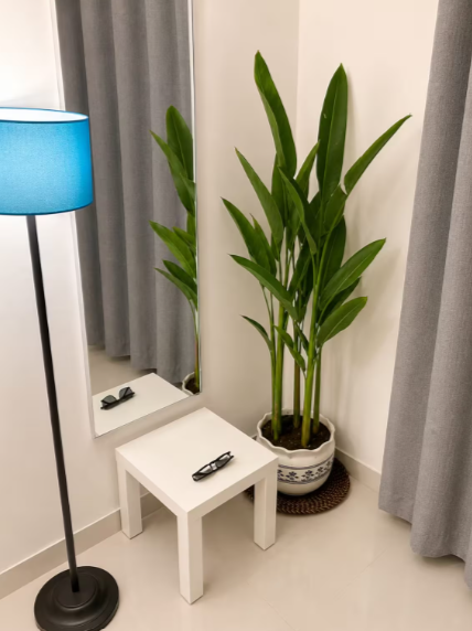 Comfortable Studio Apartment in New Kalyani Nagar