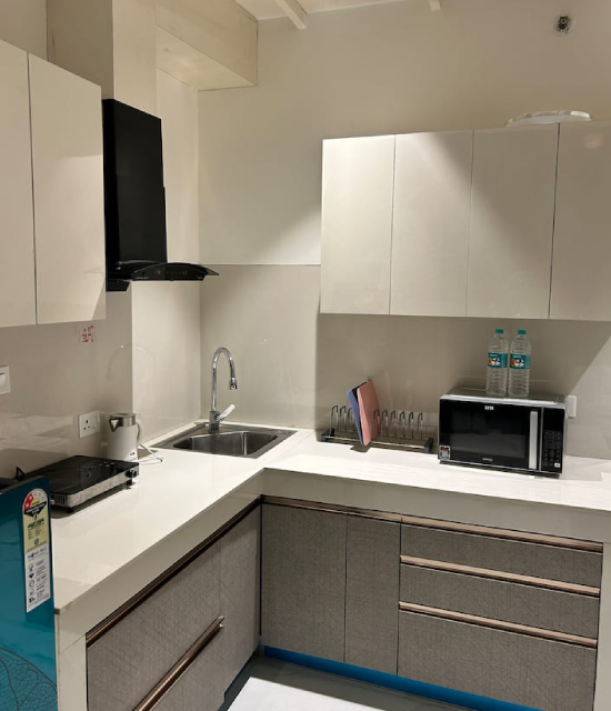 Luxury 1 BR near Urbana