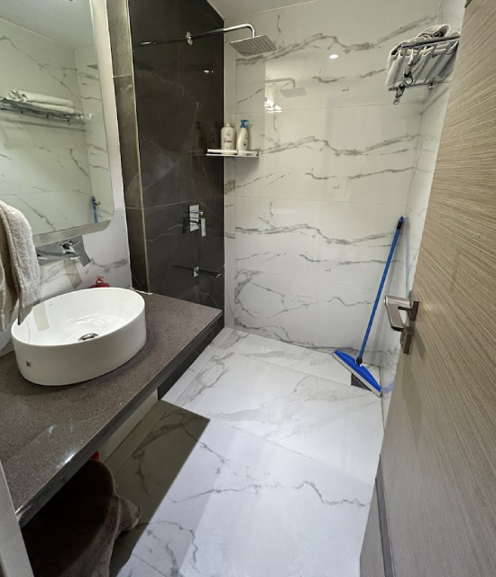Luxury 1 BR near Urbana